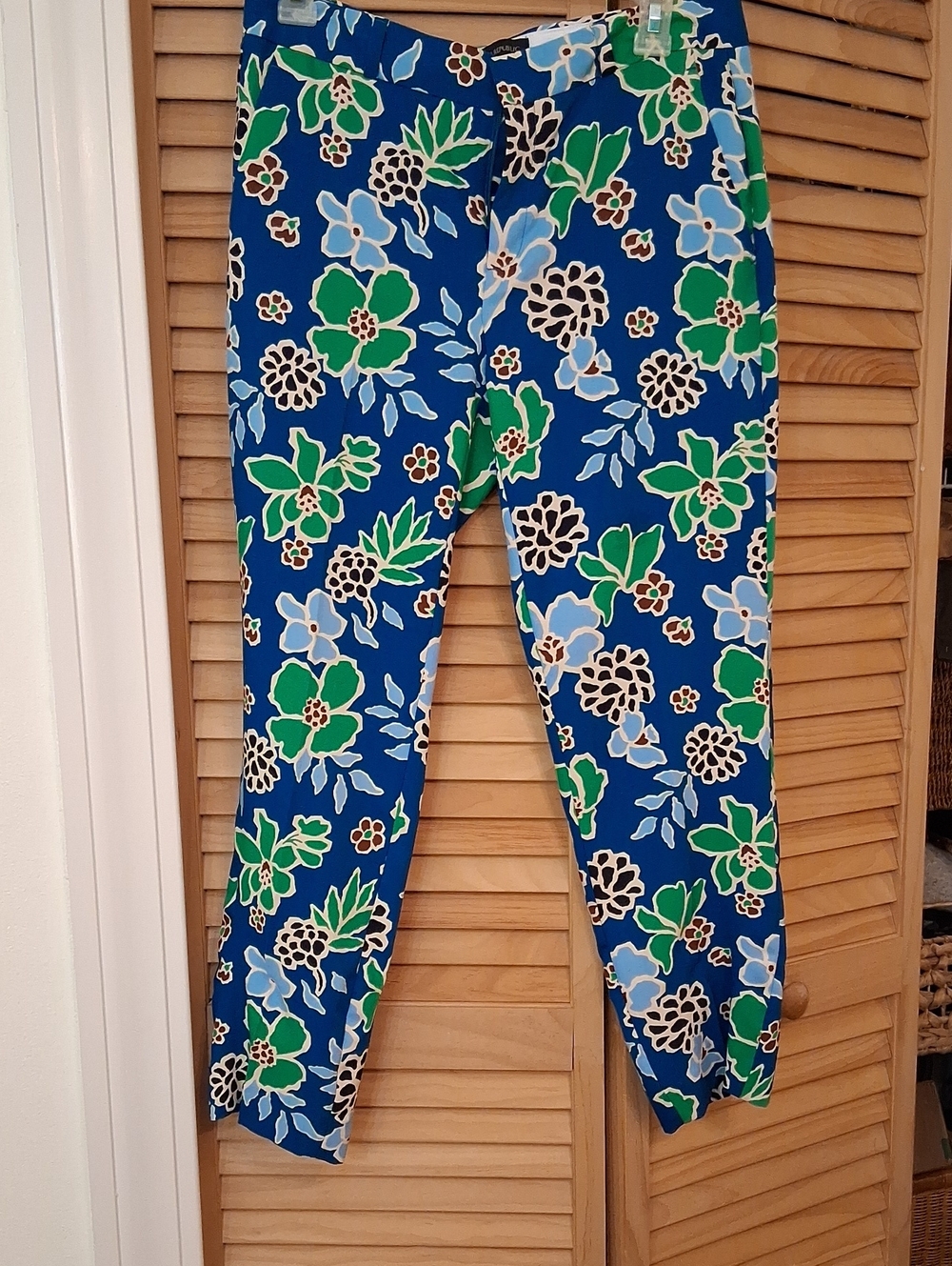 Banana Republic Blue Floral Women's Pants with Green Accents